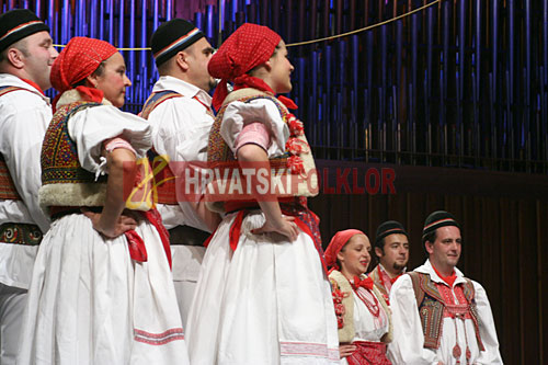 lisinskizeljeznicar (51)
